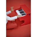 kit-creatif-6-animaux-en-platre-a-decorer.webp