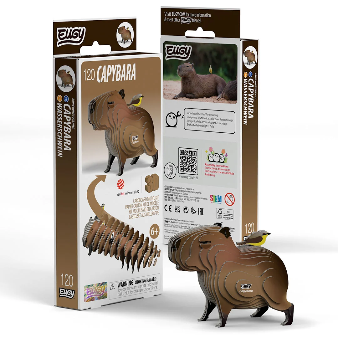 021_Dolphin-Packaging_2025.08.webp