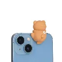 Stickie Peeky 2.webp