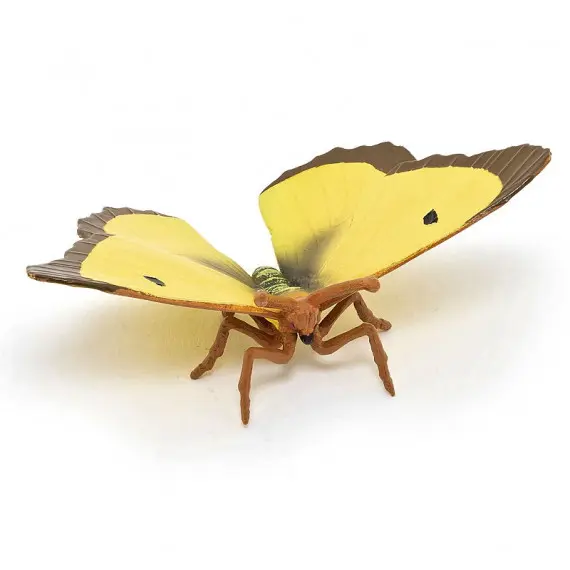 50288 papillon souci