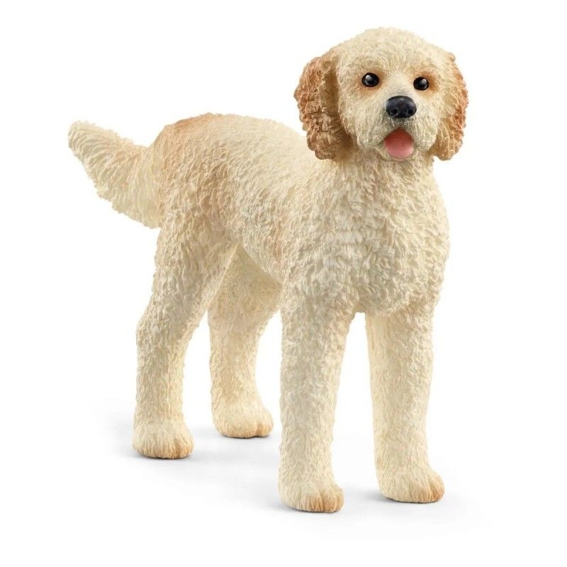 13939 Chien Goldendoodle