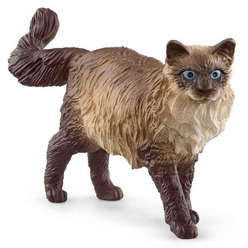 13940 chat ragdoll