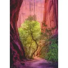 Heye puzzle 1000p power de nature 