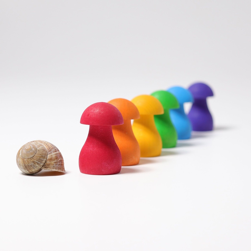 Champignons arc en ciel rainbow mushrooms Grimm's
