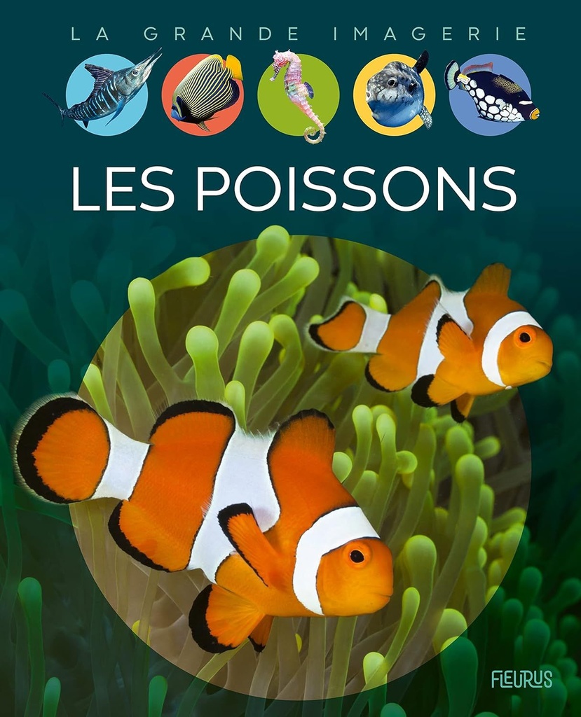 La grande imagerie - Les poissons