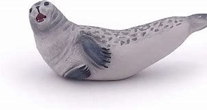 Phoque