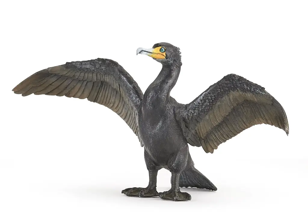 56049 cormoran
