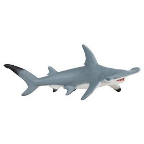 56010 - Requin marteau 