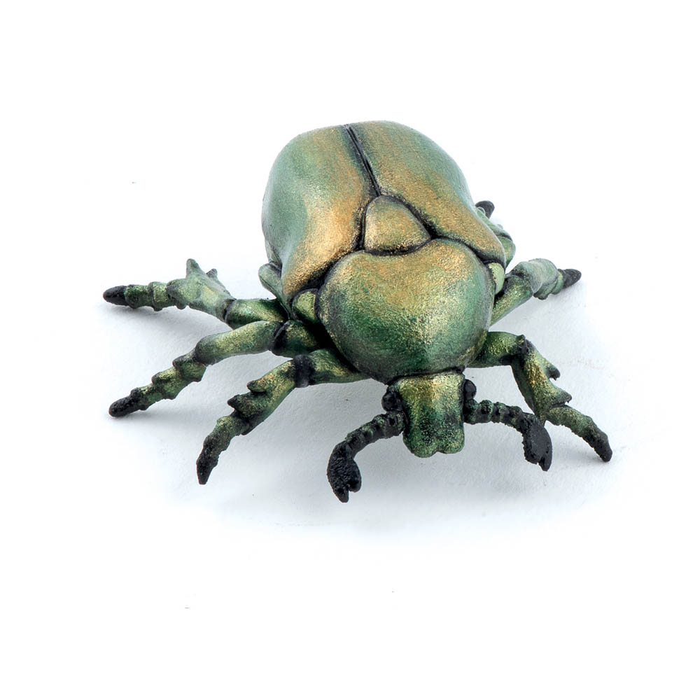 50290 - Cetoine dorée