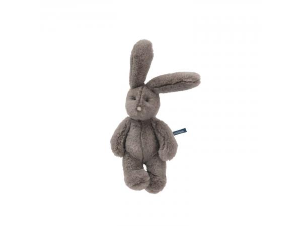 Arthur et Louison - Petit lapin gris