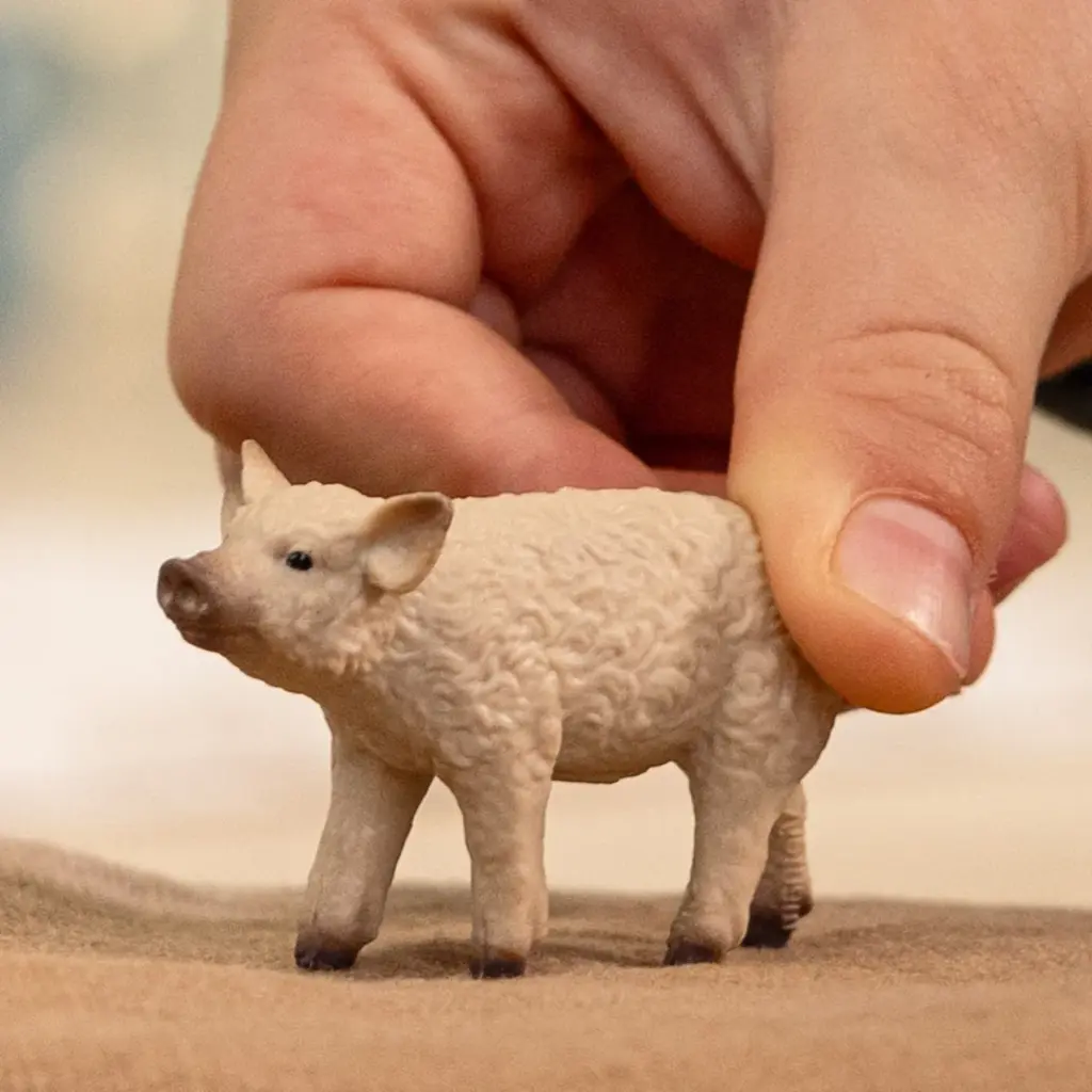 Porcelet Mangalica