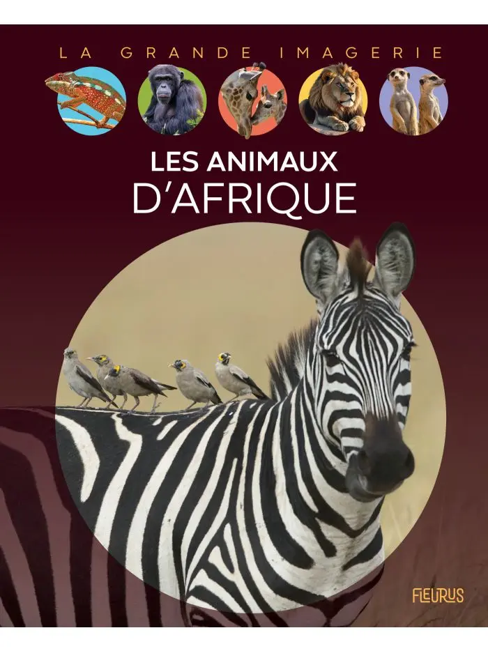 La grande imagerie - Les animaux d'Afrique