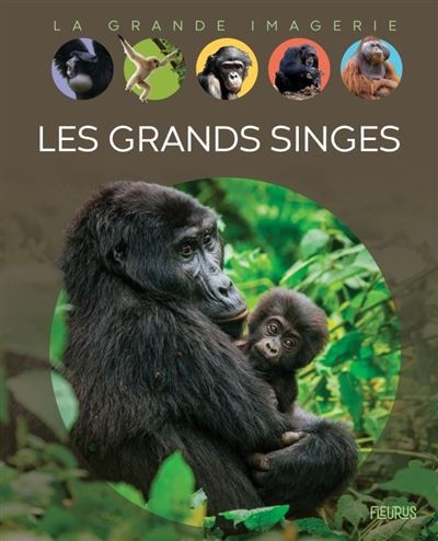 La grande imagerie - Les grands singes