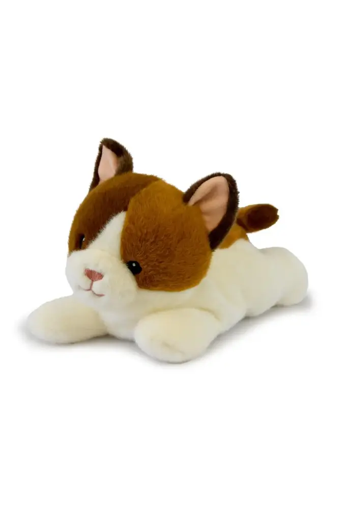  LES P'TITS RELAX - Chat MM