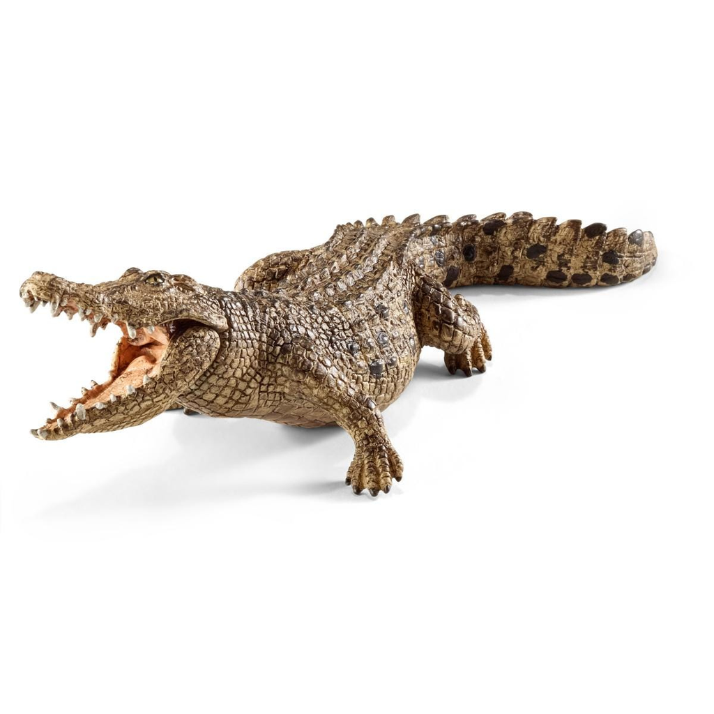 14736 - Crocodile 