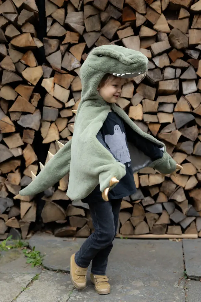 cape t rex 2-3 ans
