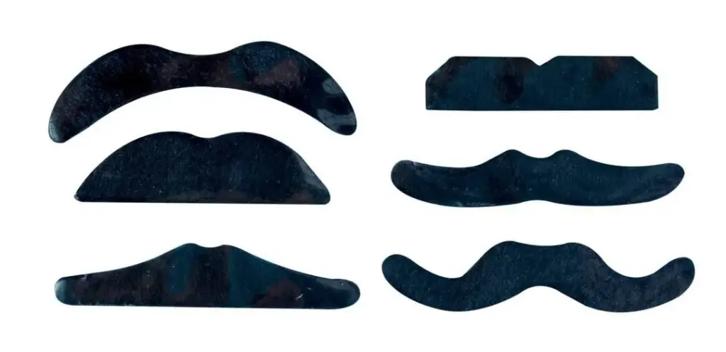 Lot de 6 moustaches noires