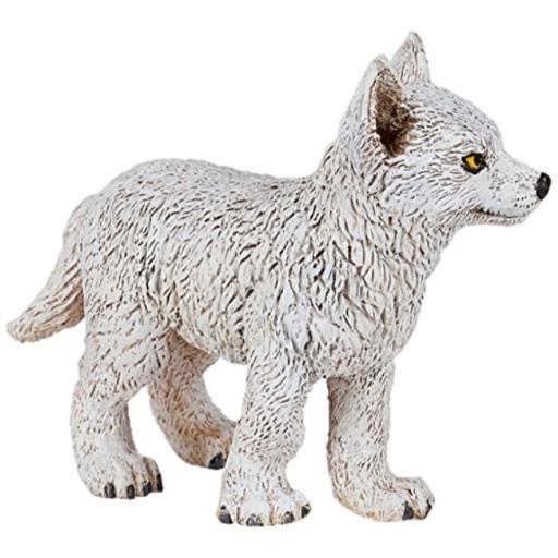 50228 - Bébé loup polaire
