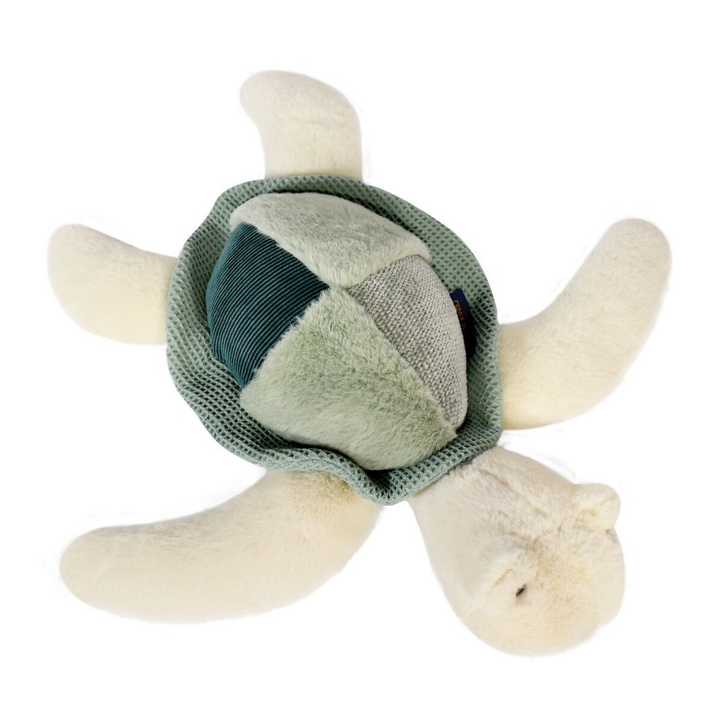 Histoire d'ours - Tortue de mer verte