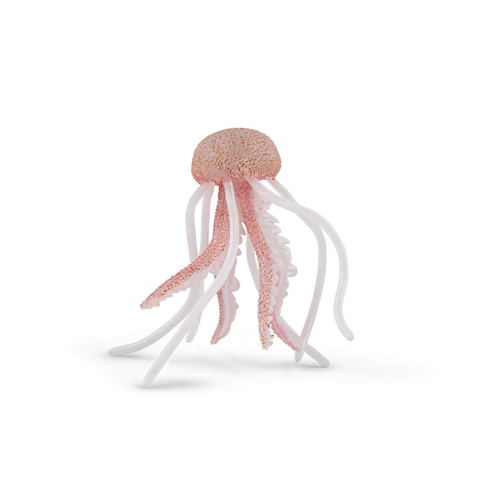 Méduse rose