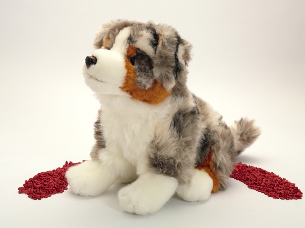 Berger australien 30cm 