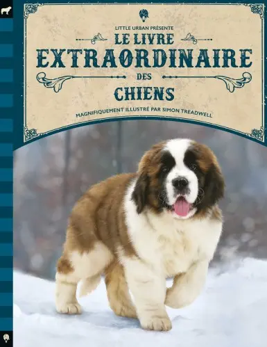 Little urban - Le livre extraordinaire des chiens