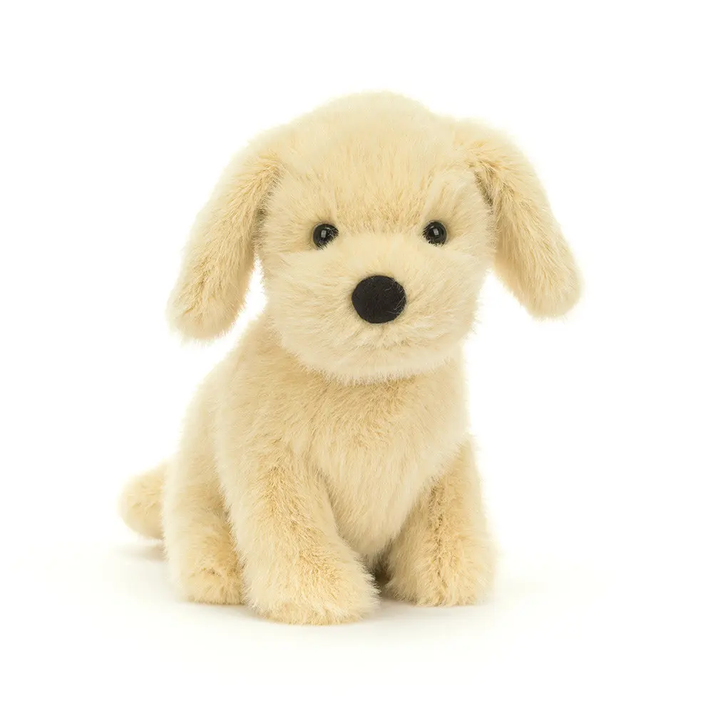 Golden puppy