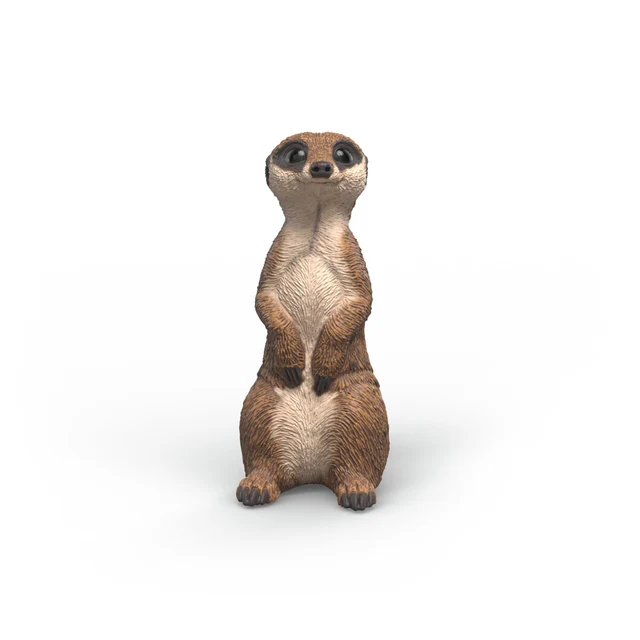 Suricate