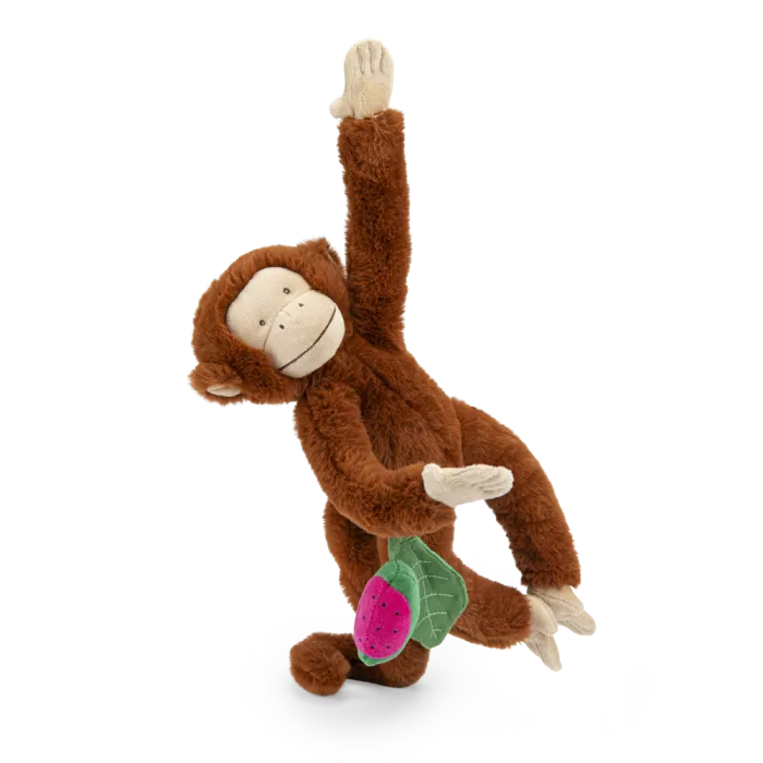 Singe Mochica d'activités à suspendre La forêt Maw 