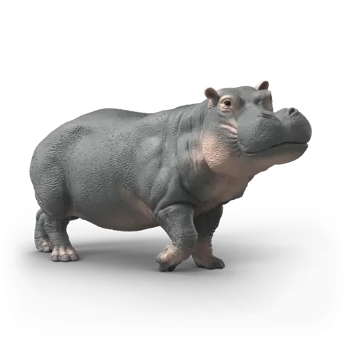 14938 - Hippopotamus