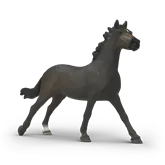 14914 - JUMENT PUR-SANG ANGLAIS