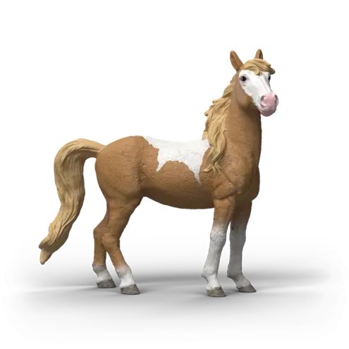 14920 - Jument mustang