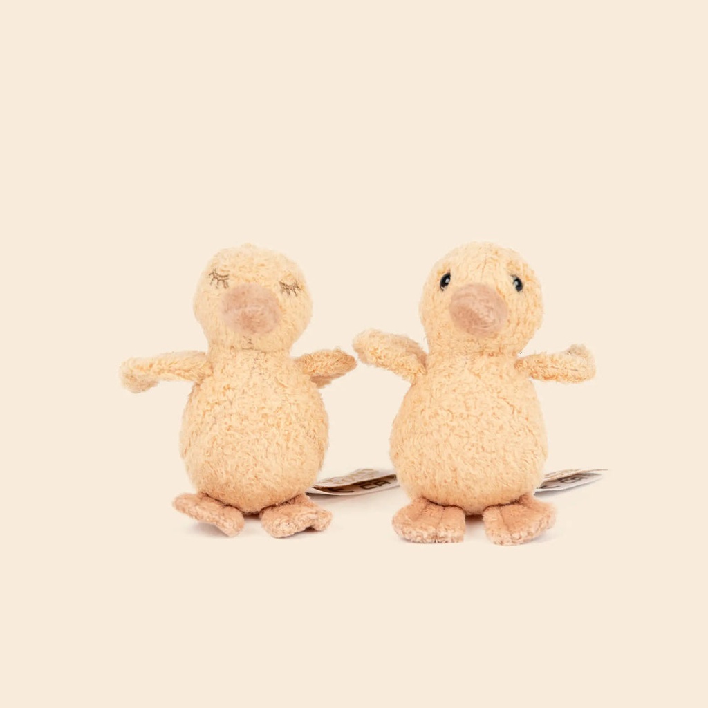 Petit poussin QUACK