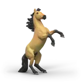 Étalon Mustang