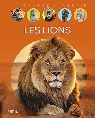 La grande imagerie - Les lions