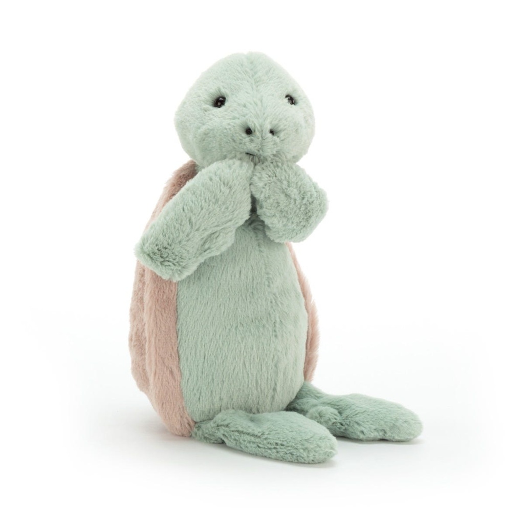 Bashful Turtle Medium