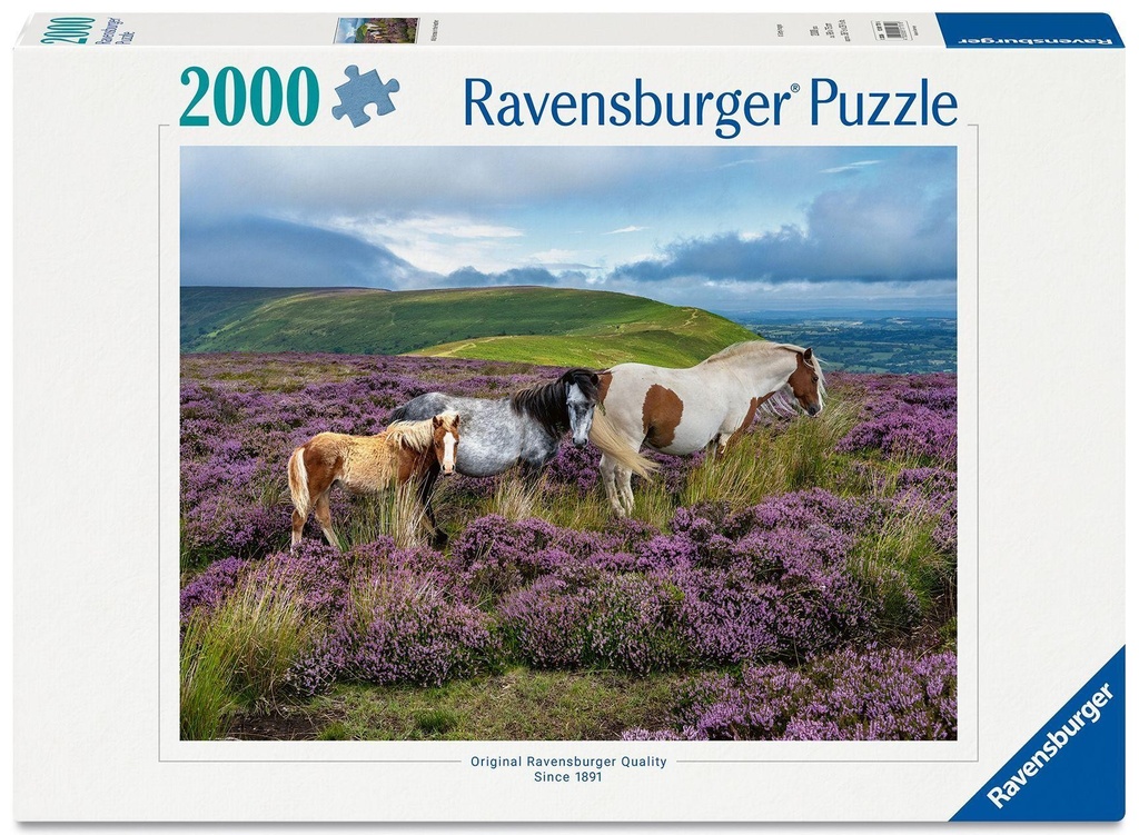 Puzzle Chevaux sauvages dans la bruyère 2000pcs