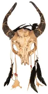 Masque - Loup Crane