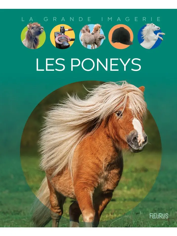 La grande imagerie -  Les poneys