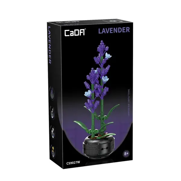 CaDa - Plante - Lavande