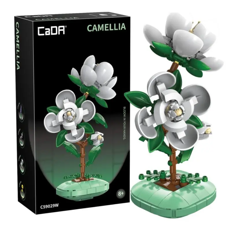 CaDa - Plante - Camellia
