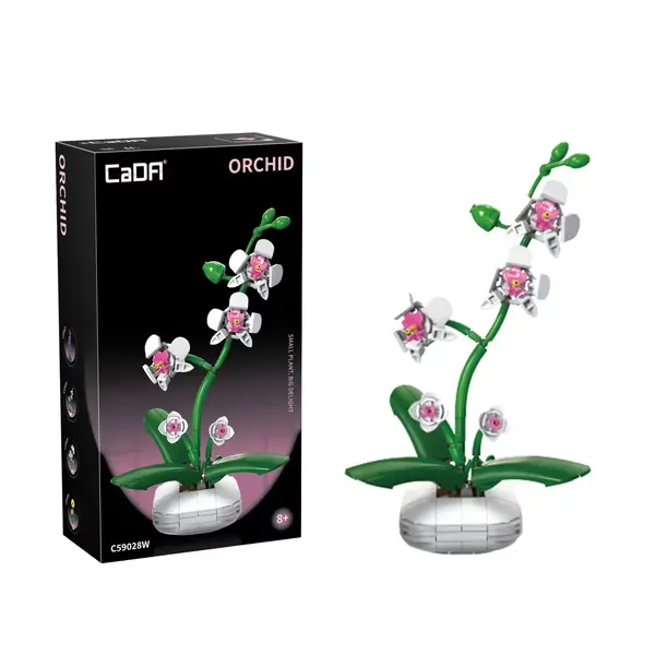CaDa - Plante - Orchidée