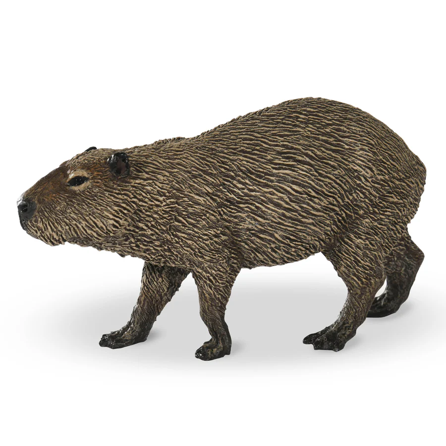 Capibara 