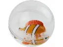 Bulle d'eau poisson clown