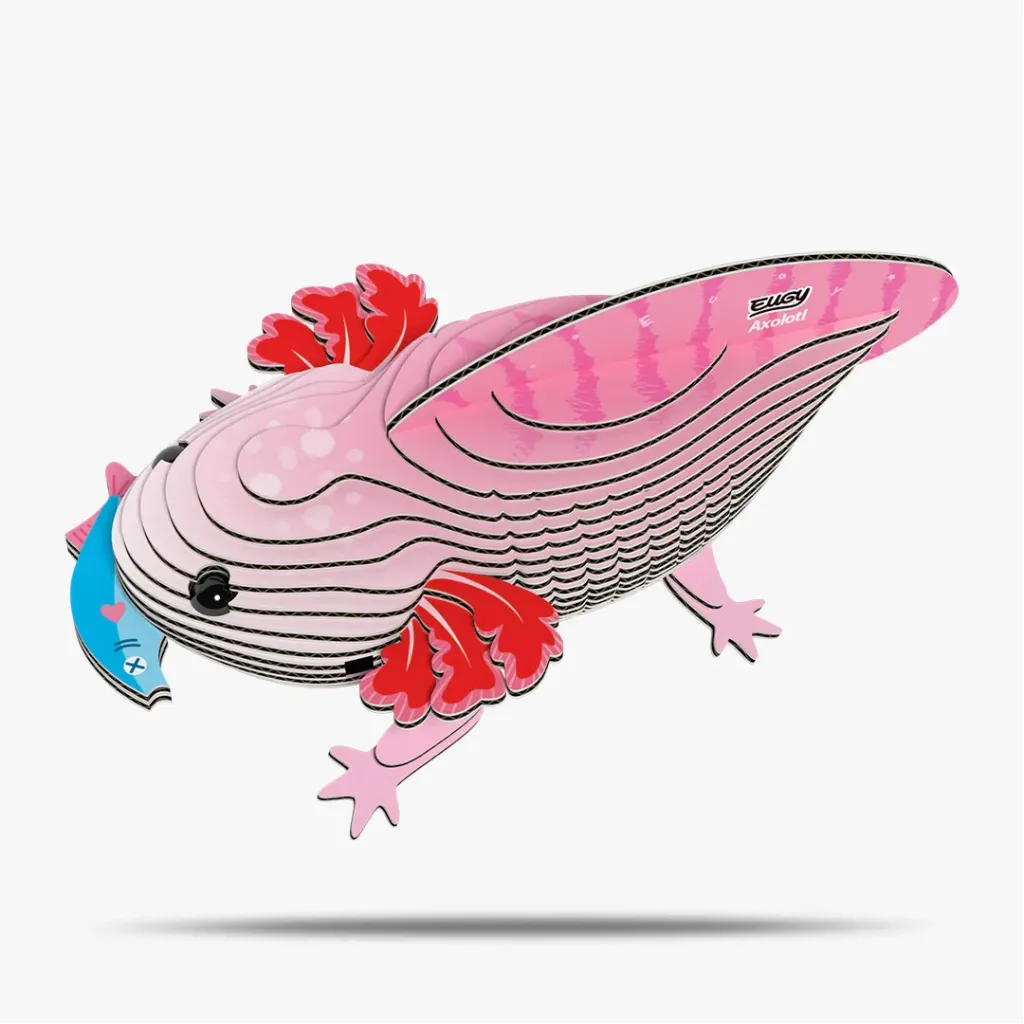 [DAM - 5314139] Eugy 3d - Axolotl