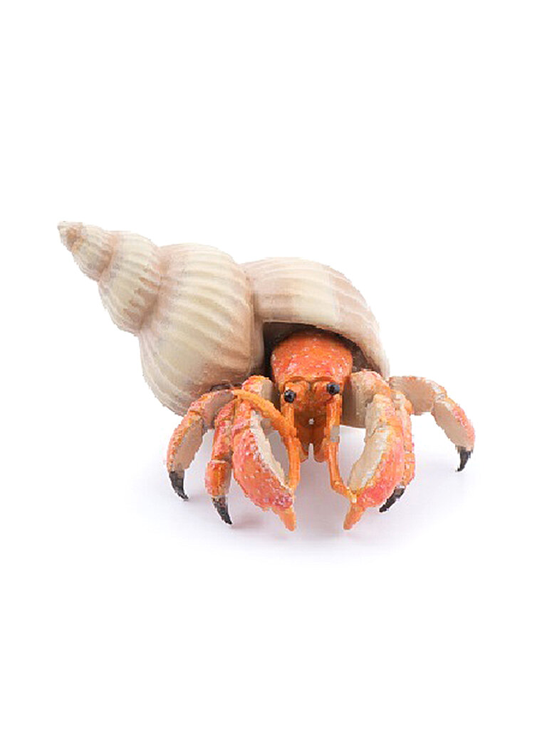 [Papo- 56054] PAPO Marine Life Hermit Crab T - Multi
