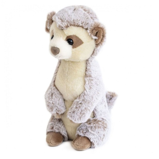 [D&C-HO2954] Suricate