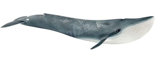 [Puppy-14806] Baleine bleue