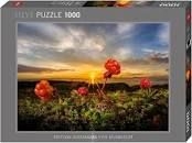 [HOT Sports-30016] Heye puzzle 1000pcs Cloudberries