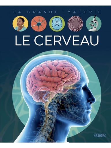 [9782215176398] La grande imagerie - Le cerveau